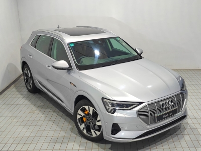 Audi e-tron  (2020) Audi e-tron  (2020)