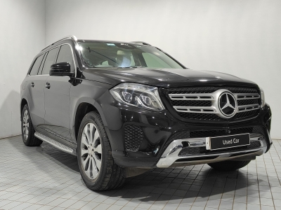Mercedes Benz GLS  (2010)
