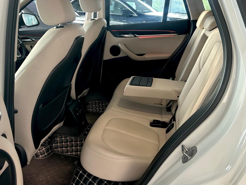 BMW X1 sDrive20i xLine