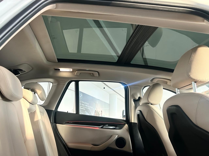 BMW X1 sDrive20i xLine